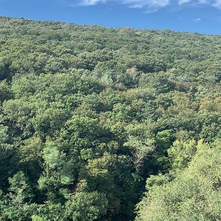Al Bosco Incantato Trieste Dış mekan fotoğraf