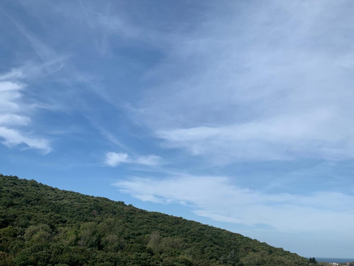 Al Bosco Incantato Trieste Dış mekan fotoğraf