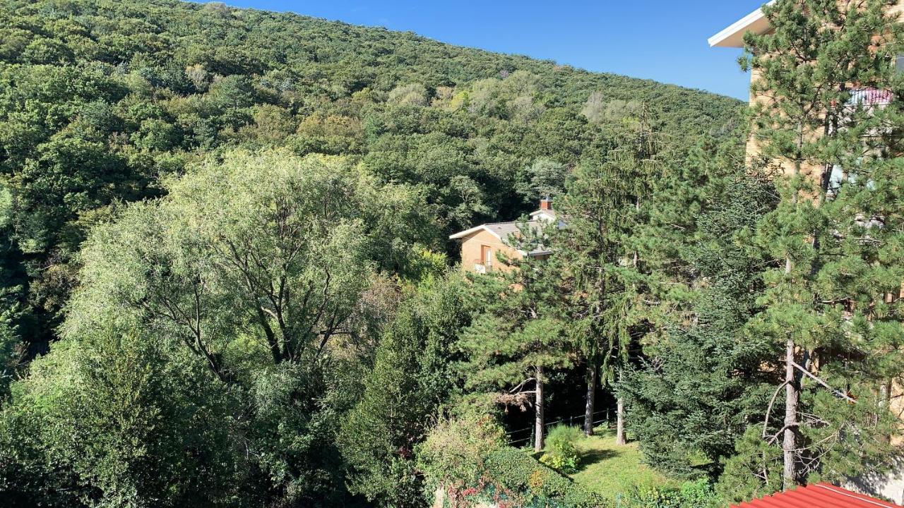 Al Bosco Incantato Trieste Dış mekan fotoğraf